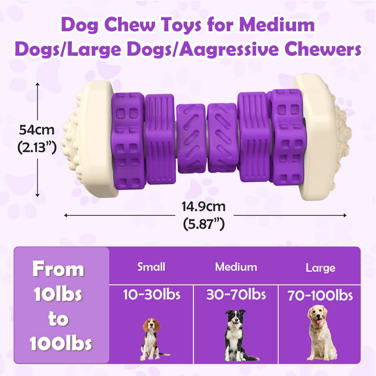 MASBRILL Interactive Dog Chew Toy–Brightly Colored Dog Enrichment Toy for  Aggressive Chewers-Purple