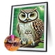 thumbnail image 2 of Cuadros Decorativos 5D bricolaje ronda completa taladro diamante pintura búho Kit arte decoración del hogar (B6082) DQrwqpou Nuevos Originales, 2 of 9