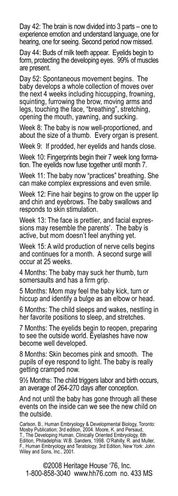 Milestones of Early Life Pro-Life Bookmark (Pack of 100)