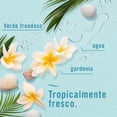 thumbnail image 3 of Aromatizante para el Hogar Febreze Air Neutralizador de Olores, Fragancia Bora Bora Waters, 250 g, 3 of 5
