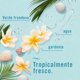 thumbnail image 3 of Aromatizante para el Hogar Febreze Air Neutralizador de Olores, Fragancia Bora Bora Waters, 250 g, 3 of 5