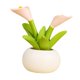 thumbnail image 2 of Estatua de resina artificial figura artística decoración de bonsai artesanía de interior ornamento de interior plantas falsas para sala de mesa Estilo D, 2 of 9