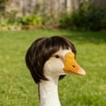 thumbnail image 6 of YaoZQ Cute Goose Statue Braid Porch Goose Outfit for Statue Porch Goose With Hair Clips Porch Goose Outfits for Outdoor Garden Patio Yard Goosey (4 Styles), 6 of 7