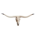 thumbnail image 4 of Long Horned Decor Skull Halloween Decoration Wall Decor Skull Decor Skull Figurines Crafts Head For Holiday Bedroom .5x32x12cm, 4 of 8