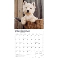 thumbnail image 4 of West Highland White Terriers | 2026 12x24" (Hanging) Wall Calendar | Plastic-Free, 4 of 9