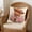 Multicolor1363, variant on Tuvgenk 18x18 In Throw Pillow Covers Spandex Indoors Pillowcases Decor Multicolor Highland Cow for Couch