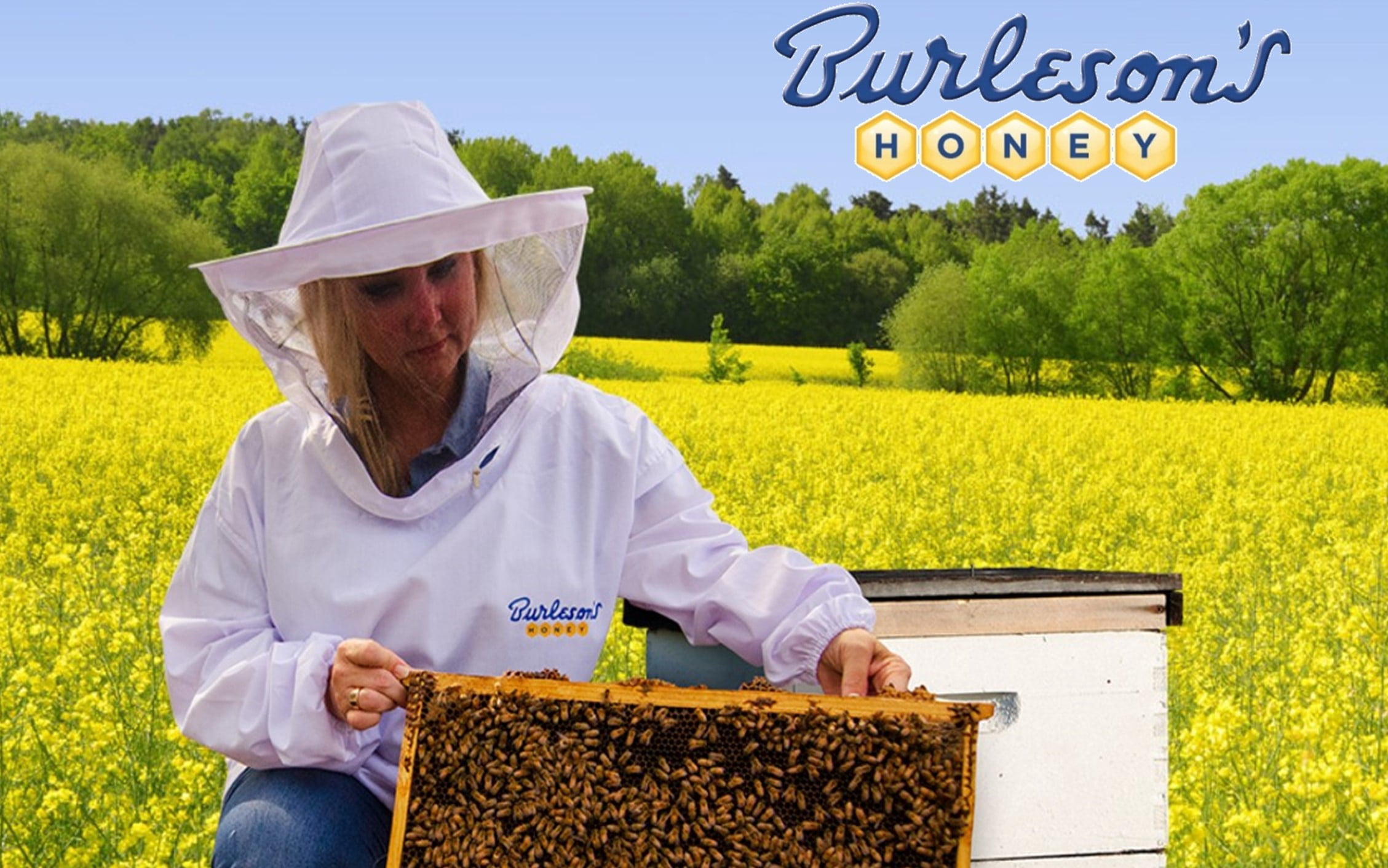 (3 pack) Burleson's Grade A Natural Clover Honey, 40 fl. oz.