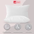 thumbnail image 4 of Colchón Individual América Aspen + 2 Pack Almohadas Atlas Del Descanso, 4 of 5