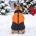 thumbnail image 5 of Warm Dog Kitty Winter Coat Thick Padded Pet Jacket Cold Weather Puppy Clothing Cozy Outdoor Apparel for Small Medium Dogs and Kitties, 5 of 6