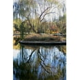 thumbnail image 2 of Putman, Tammy 13x18 Black Ornate Wood Framed with Double Matting Museum Art Print Titled - Willow in Fall, 2 of 4