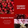 thumbnail image 4 of Scentworx Cherry Splash Hang Tag, 3 Pack, 4 of 5