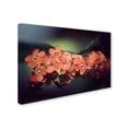 thumbnail image 2 of "Flowers Waiting" Canvas Art by Philippe Sainte-Laudy, 2 of 3