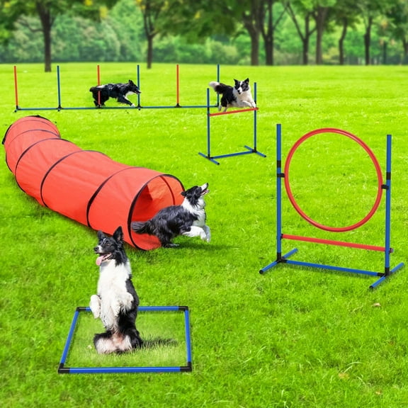 Dog Agility Equipments, Includes Flirt Pole Toy, 3 Flying Discs, 1 Agility Tunnel, 2 Jumps, 6 Weave Poles, Pause Box, Agility Course Set for Backyard, Indoor, Outdoor