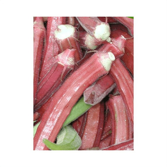 Okra RED Burgundy Great Heirloom Vegetable By Seed Kingdom BULK 1 Lb Seeds