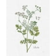 thumbnail image 2 of Schlabach, Sue 15x18 White Modern Wood Framed Museum Art Print Titled - Cottage Herbs III Linen, 2 of 4