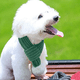 thumbnail image 4 of Bufanda de punto para perros navideños, para gatos pequeños, medianos y perros, encantadores trajes de invierno, 4 of 5