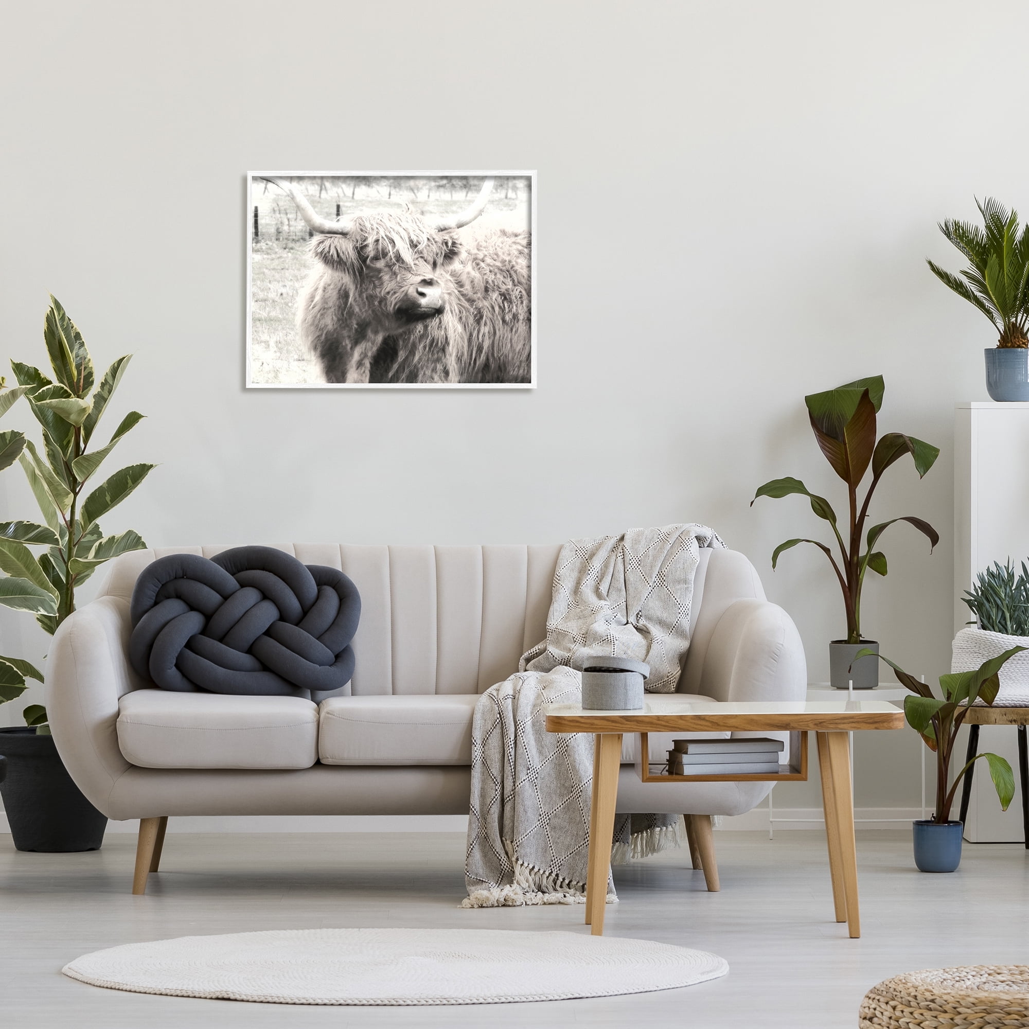 Stupell Industries Rustic Farm Highland Cattle Cow Monochrome Photography Photograph White Framed Art Print Wall Art, Design by Graffitee Studios