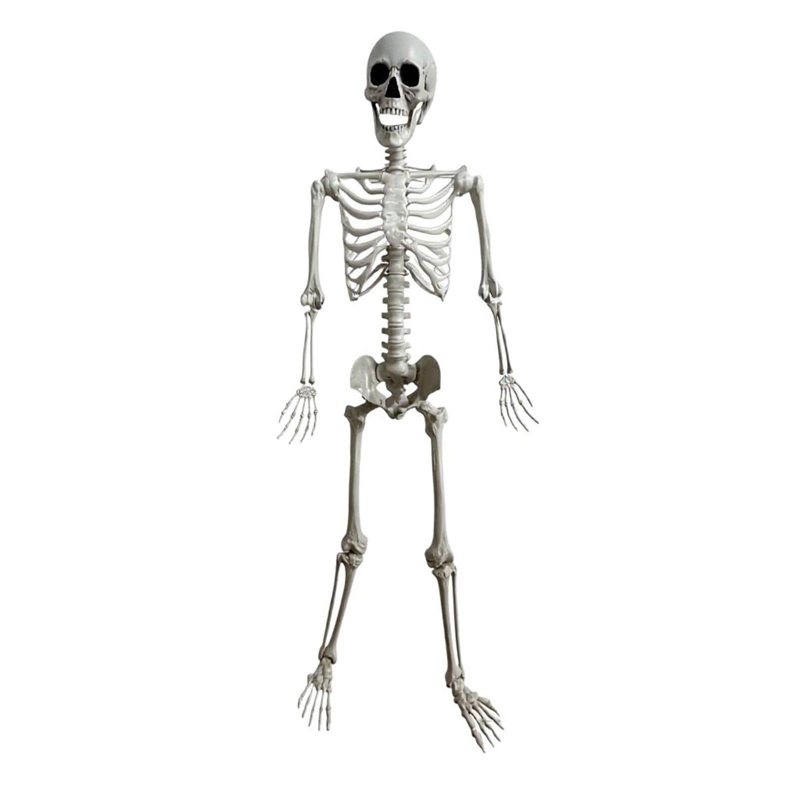 Realistic Halloween Skeleton Decoration Simulation Skeleton Prop for Haunted House Party Graveyard Yard Porch Indoor Outdoor Spooky Halloween Decor