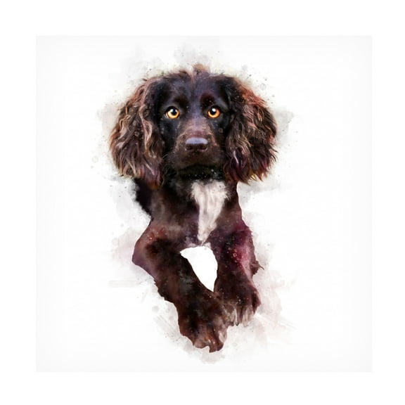 Trademark Fine Art Emel Tunaboylu Baby Puppy Canvas Wall Art