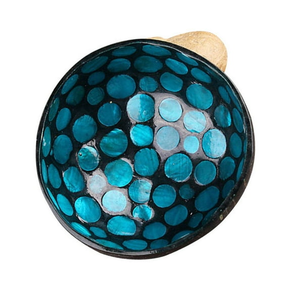 PBPBOX Coconut Shell Bowl for Home Use Blue Natural and Unique with Dot Patterns Not for Direct Food Contact 5.9 Inches