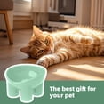 thumbnail image 4 of Elevated Tilted Pet Bowl, Ergonomic Raised Feeding Dish For Small Dogs And Cats, Non-Macaron Color Food And Water Bowl, 4 of 6