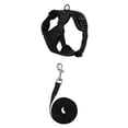 thumbnail image 2 of Kitten Harness and Leash Set Escape Proof No Pull Xs Black Breathable Padded Pet Walking Set for Outdoor Travel Gift for Pet Owners, 2 of 9