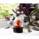 thumbnail image 5 of Juego infantil Snow Globe Toynk Chucky Wanna Play? 8 cm, 5 of 7
