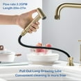 thumbnail image 5 of Antique 360 Swivel Bridge Kitchen Faucet with 28'' Slide Sprayer In Stainless Steel Brushd Gold Brushed, 5 of 5