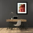 thumbnail image 4 of John William Godward 20x24 Black Modern Framed Museum Art Print Titled - Pyrallis (1918), 4 of 5