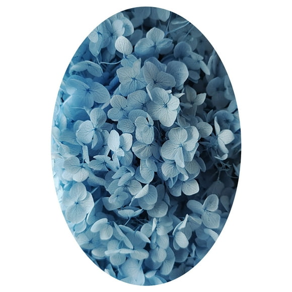 COOLL 1 Box Colorfast Dried Flowers Exquisite Natural Realistic DIY Hydrangea Heads Wedding Favors