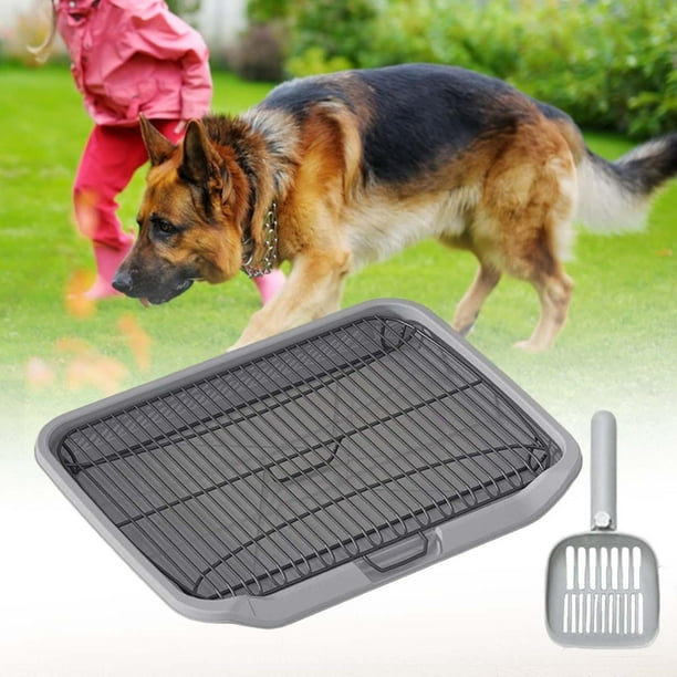 Petsmart Pee Pad Holder Pee Pad Holder Puppy Dog Litter Training