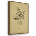 thumbnail image 3 of Holly Branch I - Framed Gallery Wrapped Holiday Canvas - 17 x 25 - Rosewood Frame, 3 of 8