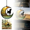 thumbnail image 1 of Functional Home Window Decoration Pendant Perfectly Combining Aesthetics And Practicality Suitable For Various Styles Of Homes Lighting Up Your Life Every Day, 1 of 4