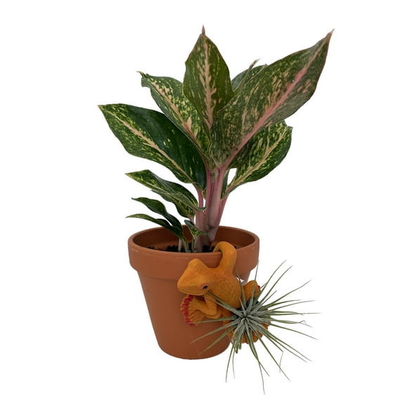 Pot Pals Orange Lizard Ceramic Hanging Ornament with Live Tillandsia Air Plant