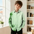thumbnail image 5 of Riecok Long Sleeve Shirts for Boys St Patrick's Day Lapel Collared Graphic Print Button up Blouse Holiday Dressy Tops, 5 of 8