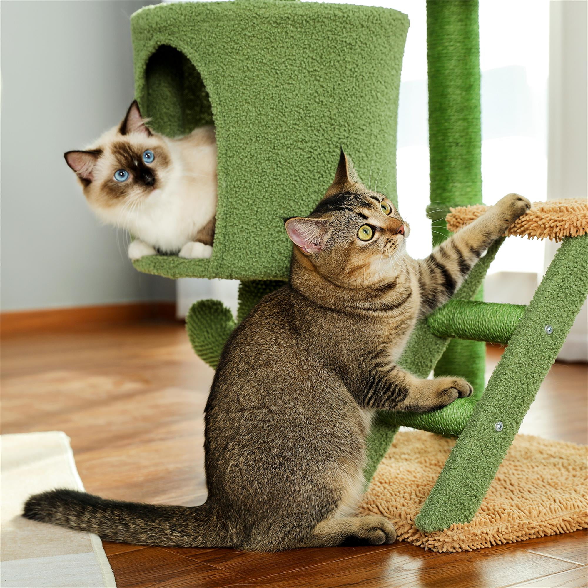 Kadyn 35" Cactus Cat Tree Tower for Indoor Cats, Cat Climbing Stand with Climbing Ladder for Multi-Level Cat Condo, Green