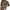 01 Coffee, variant on Sweaters for Women Basic Solid Color Crewneck Sweaters Lightweight Pullover Tops Fall Sweater Shermie