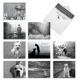 thumbnail image 1 of The Best Card Company - 10 Assorted Blank All Occasions Notecards Box Set 4 x 5.12 Inch w/Envelopes Colorful Watercolor, Flowers for Women (10 Designs, 1 Each) - Words For Friends M6482OCB, 1 of 4