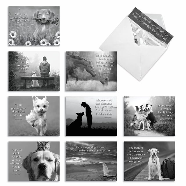The Best Card Company - 10 Assorted Blank All Occasions Notecards Box Set 4 x 5.12 Inch w/Envelopes Colorful Watercolor, Flowers for Women (10 Designs, 1 Each) - Words For Friends M6482OCB