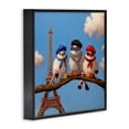 thumbnail image 2 of Stupell Industries Rustic Lodge Parisian Chic Birds in Paris Black Framed Giclee Art, 24 x 24, by Lucia Heffernan, 2 of 8