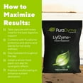 thumbnail image 3 of PuraDyme LiyfZyme Plant-Based Digestive Enzyme, Digestive Health Support (1000 Caps), 3 of 10