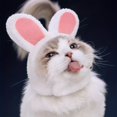 thumbnail image 2 of Cat Headgear With Ears, Sombrero De Pascua De Felpa Suave, Sombrero De Conejo De Dibujos Animados Lindo De Gato Mascota, Disfraz De Cosplay De Mascotas Para Gatos Y Perros Pequeños Accesorios De Disfr, 2 of 3