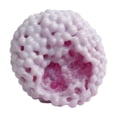 thumbnail image 2 of Gemstone Crunchy Stress Ball 1Pc - Squeeze Sensory Ball with Beads Sound, Slow Rising Squishy Balls, Pocket Size Fidget Toy, Crunchy Squishy for Stress(#D), 2 of 9