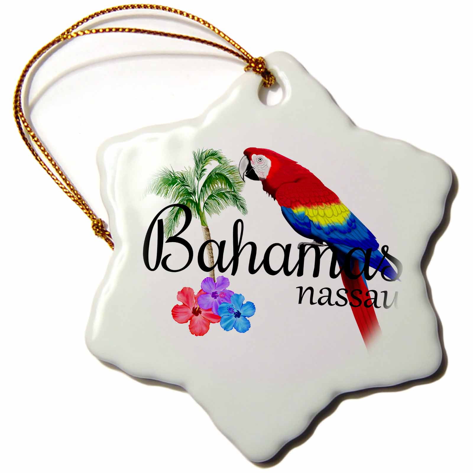 3dRose Bahamas Nassau Caribbean souvenir with tropical parrot and