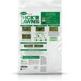 thumbnail image 3 of Scotts Turf Builder Thick'R Lawn Bermudagrass - 4,000 sq. ft., Combination Seed, Fertilizer and Soil Improver, Fill Lawn Gaps and Enhance Root Development, 40 lb., 3 of 11