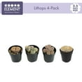 thumbnail image 3 of Element by Altman Plants Lithops Live Succulent, Live Indoor House Plants with Grower Pots , 2.5 inch , Pack of 4, 3 of 6