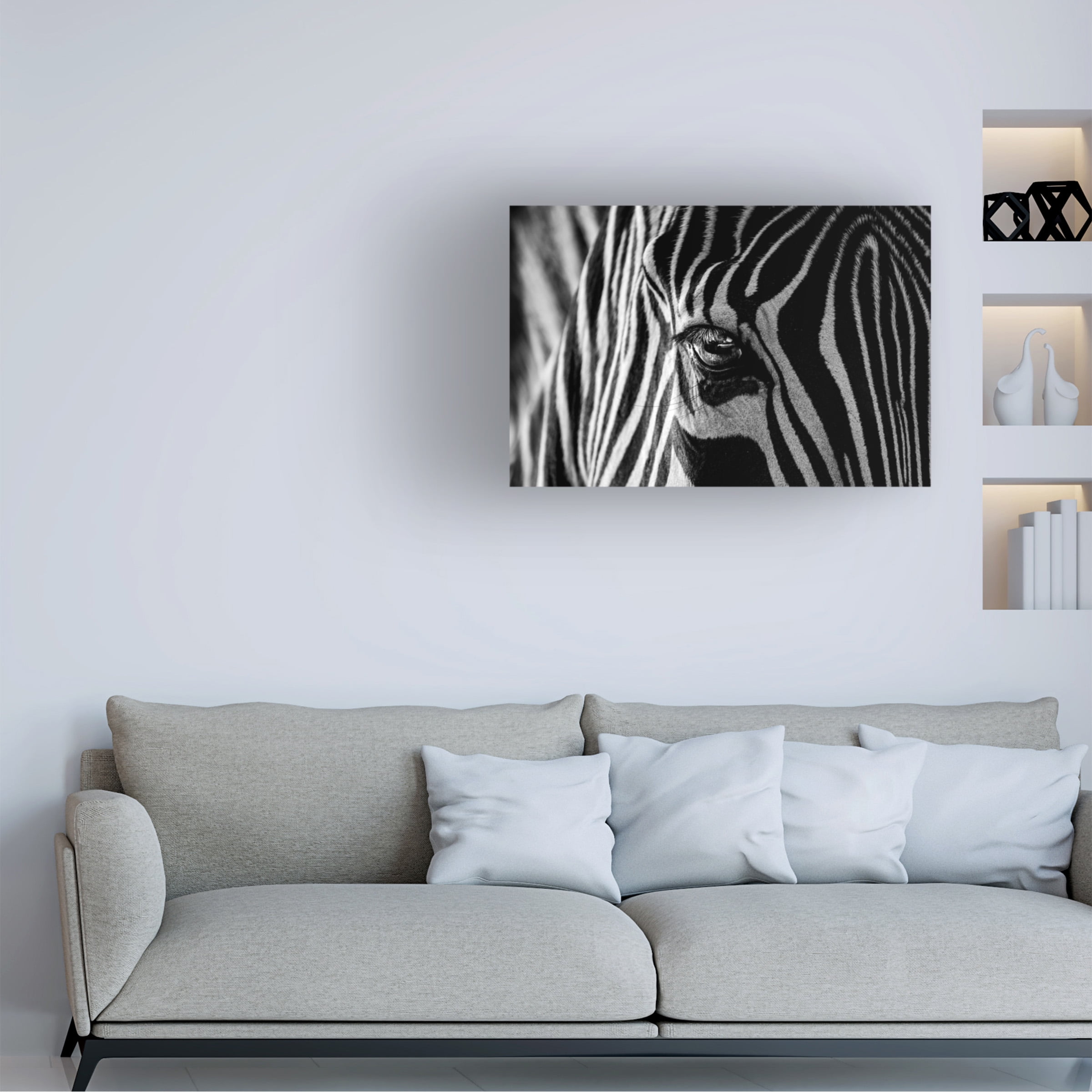 Trademark Fine Art Roy Darnell Abstract Zebra Canvas Wall Art