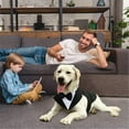 thumbnail image 7 of HQREA Large Medium Dog Tuxedo Suit Formal Pet Wedding Party Suit Puppy Prince Shirt with Bow Tie, 7 of 7