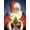 Santa Claus, variant on 5D DIY Diamond Art Kits for Adults Beginners,Winter Bird Diamond Dots Gem Art,Home Wall Decor 11.8x15.8inches