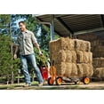 View all media